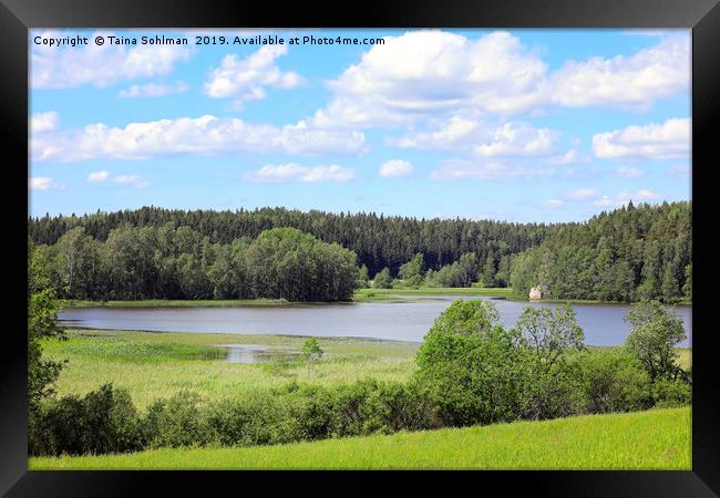 Rural Lake on Sunny Summer Day Framed Print by Taina Sohlman