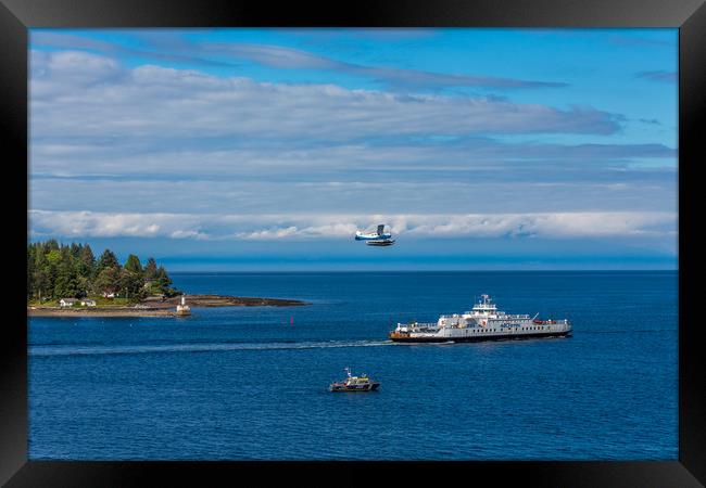 Harbor Patrol Sea Plane and Ferry Framed Print by Darryl Brooks