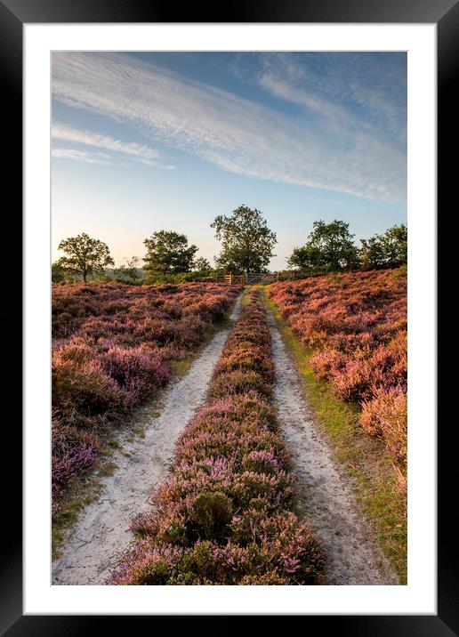 Roydon Common at Sunrise Framed Mounted Print by Robbie Spencer