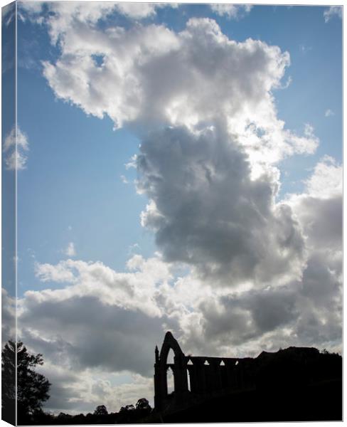 Bolton Abbey Silhouette Canvas Print by Andy Heap