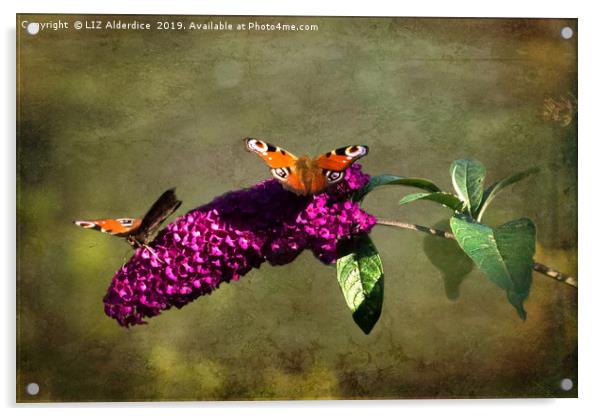 The Butterfly Bush Acrylic by LIZ Alderdice