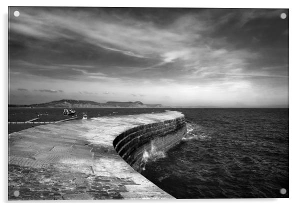 The Cobb, Lyme Regis                         Acrylic by Darren Galpin