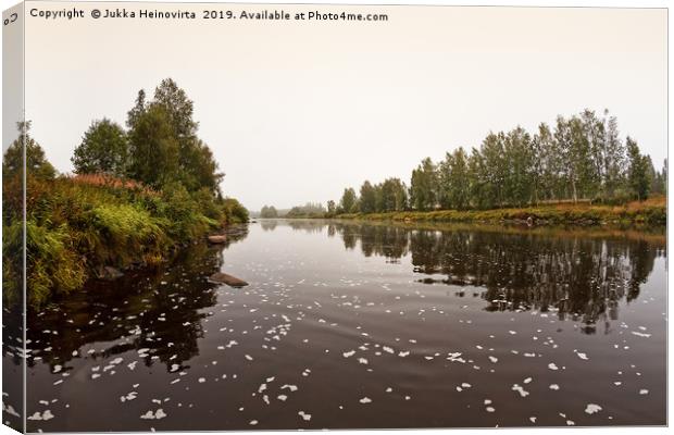 Foggy Morning On The River Canvas Print by Jukka Heinovirta