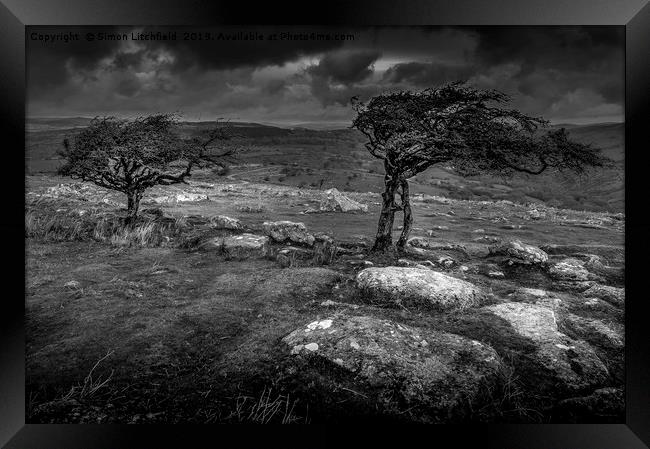 Dartmoor National Park Combstone Tor Framed Print by Simon Litchfield