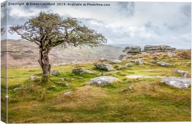 Dartmoor National Park Combstone Tor Canvas Print by Simon Litchfield