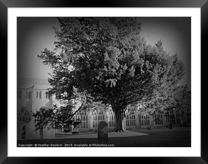 The Yew Tree Framed Mounted Print by Heather Goodwin