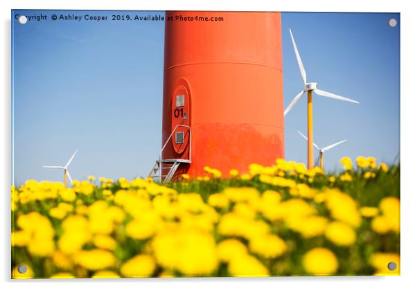Renewable energy Acrylic by Ashley Cooper