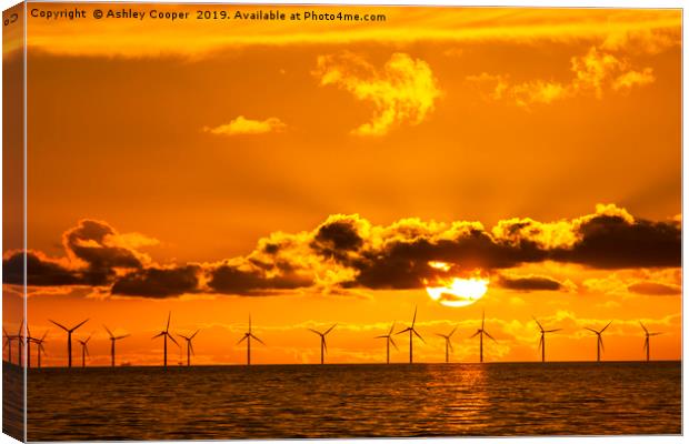 Sunset over the Walney offshore Wind farm Canvas Print by Ashley Cooper