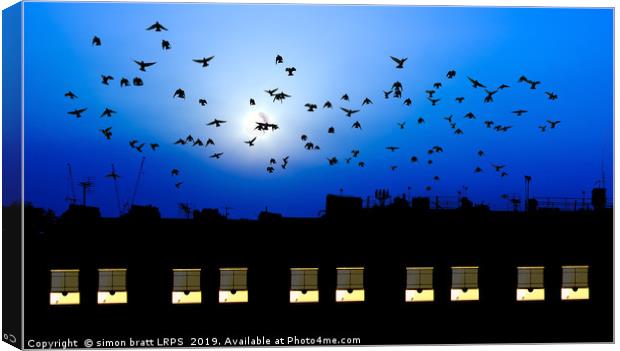 Building windows asleep with birds Canvas Print by Simon Bratt LRPS
