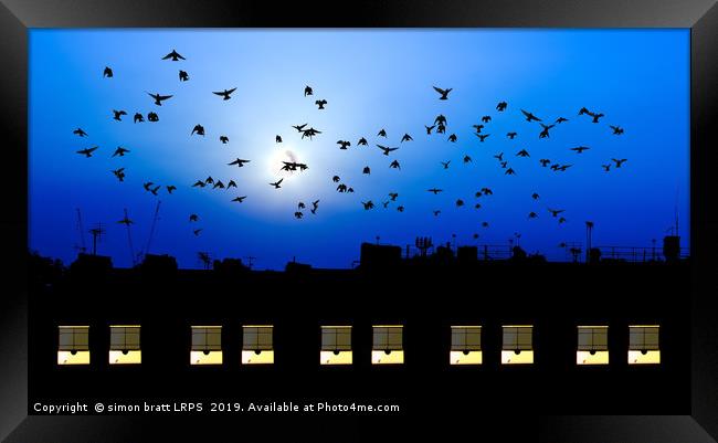 Building windows asleep with birds Framed Print by Simon Bratt LRPS