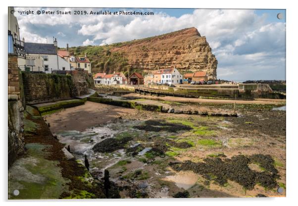 Staithes North Yorkshire Acrylic by Peter Stuart