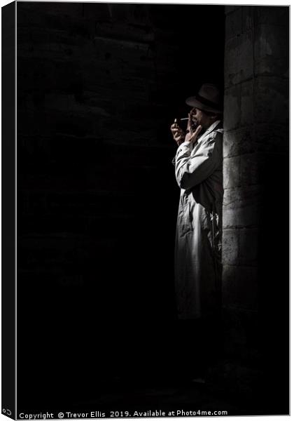 Standing in the Shadows Canvas Print by Trevor Ellis