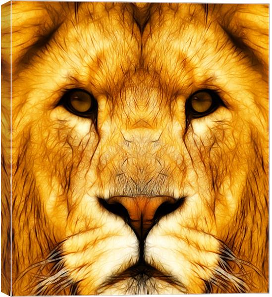 Into the Lions den Canvas Print by Steven Shea