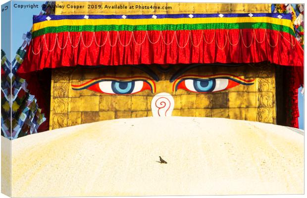 The Boudanath Stupa Canvas Print by Ashley Cooper