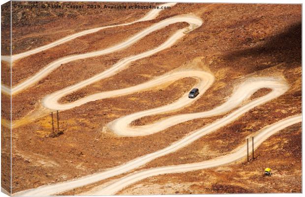 Switchback Canvas Print by Ashley Cooper
