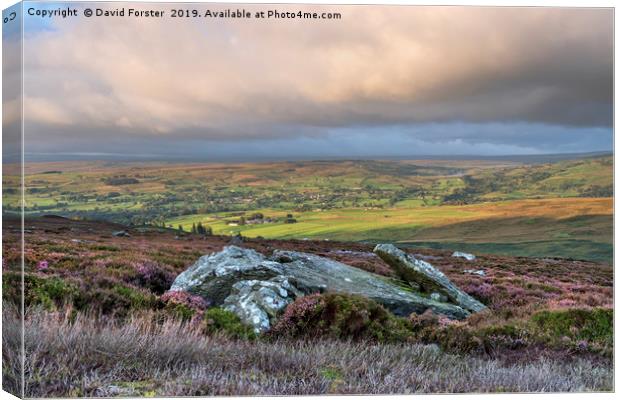 North Pennine Light, Teesdale, County Durham, UK.  Canvas Print by David Forster