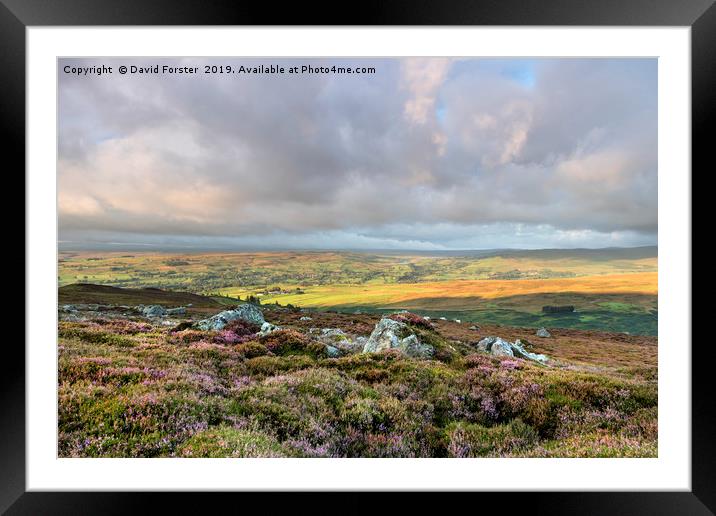 North Pennine Light, Teesdale, County Durham, UK. Framed Mounted Print by David Forster