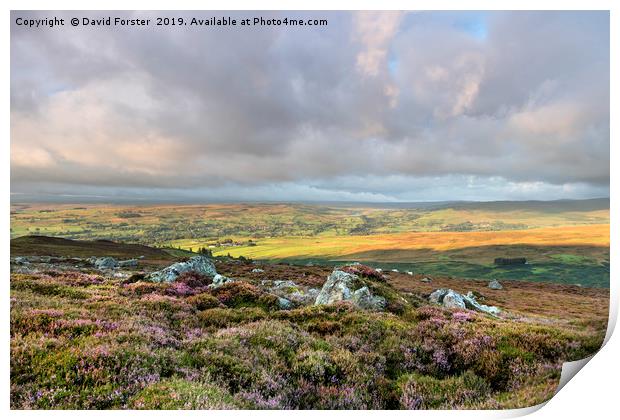 North Pennine Light, Teesdale, County Durham, UK. Print by David Forster