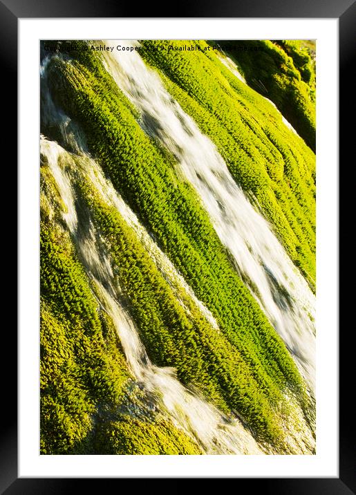 Waterfall moss. Framed Mounted Print by Ashley Cooper