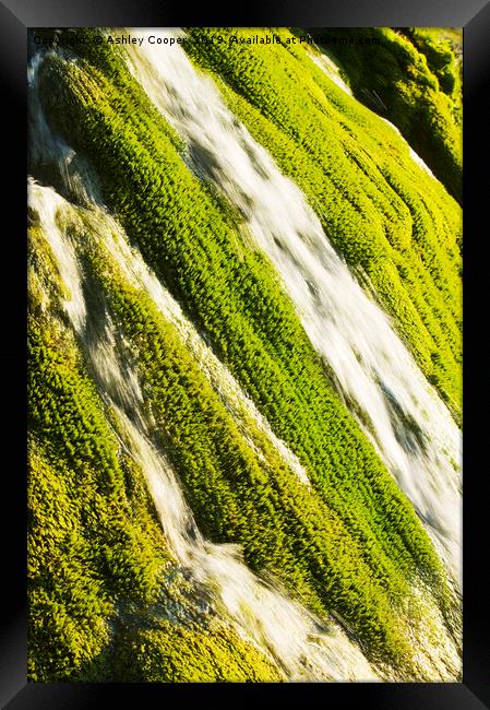 Waterfall moss. Framed Print by Ashley Cooper