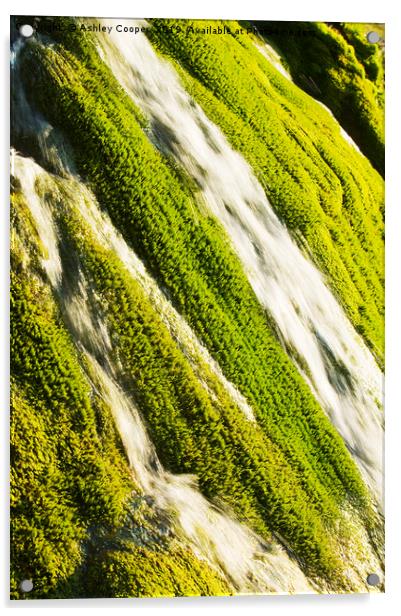 Waterfall moss. Acrylic by Ashley Cooper
