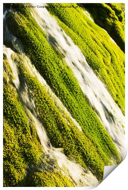 Waterfall moss. Print by Ashley Cooper