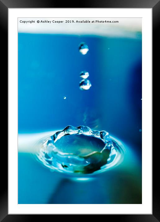 water droplets Framed Mounted Print by Ashley Cooper