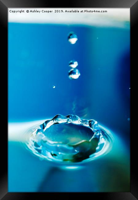 water droplets Framed Print by Ashley Cooper