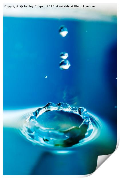 water droplets Print by Ashley Cooper