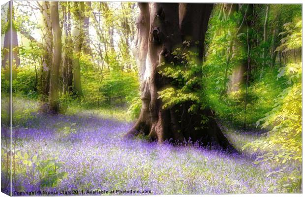 Enchanted Bluebell Woods Canvas Print by Nicola Clark
