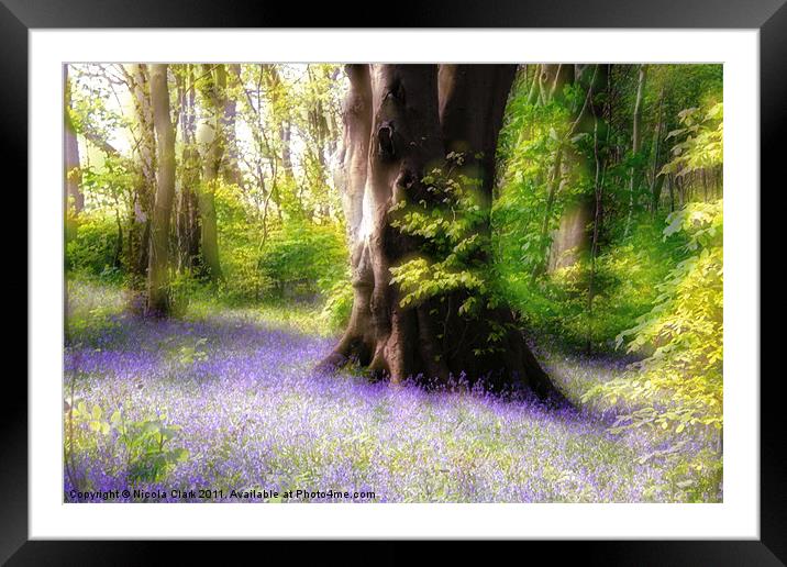 Enchanted Bluebell Woods Framed Mounted Print by Nicola Clark