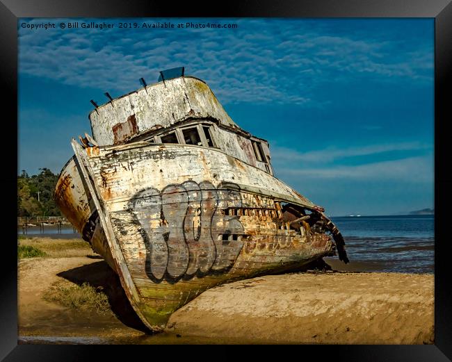 The Pt. Reyes Shipwreck Framed Print by Bill Gallagher