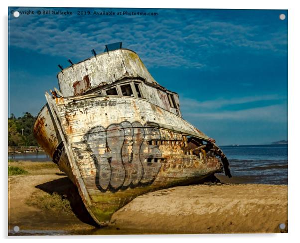 The Pt. Reyes Shipwreck Acrylic by Bill Gallagher