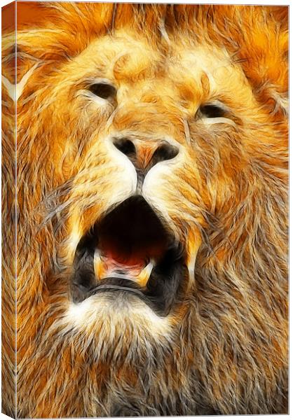 The Lions roar Canvas Print by Steven Shea