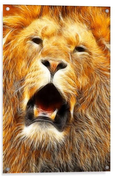The Lions roar Acrylic by Steven Shea