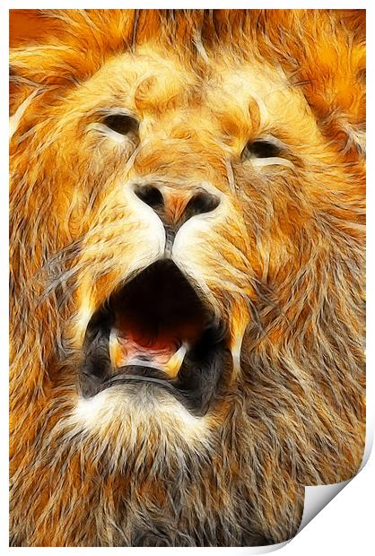 The Lions roar Print by Steven Shea