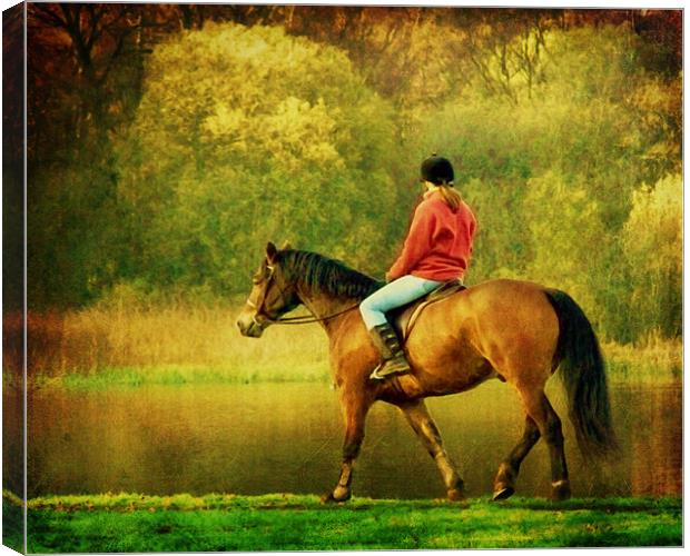 A Gentle Canter Canvas Print by Aj’s Images