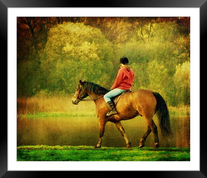 A Gentle Canter Framed Mounted Print by Aj’s Images