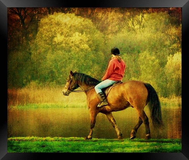 A Gentle Canter Framed Print by Aj’s Images