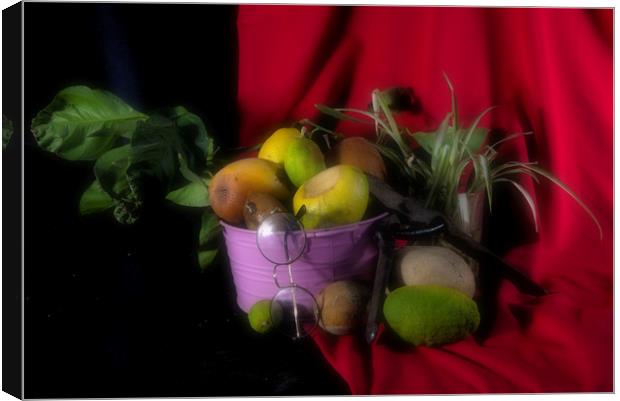Still life with fruit and glasses Canvas Print by Jose Manuel Espigares Garc