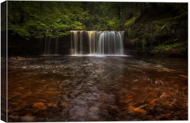 waterfalls of South Wales Canvas Print by Leighton Collins