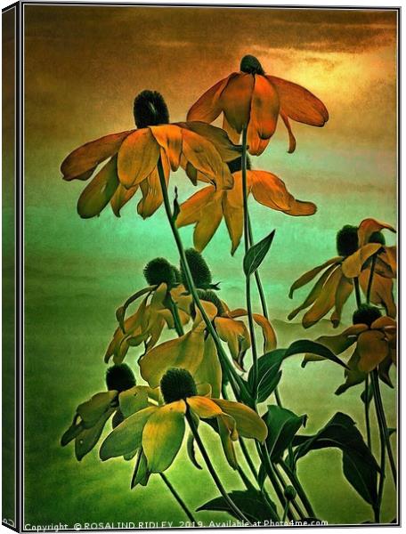 "Gold on Gold" Canvas Print by ROS RIDLEY
