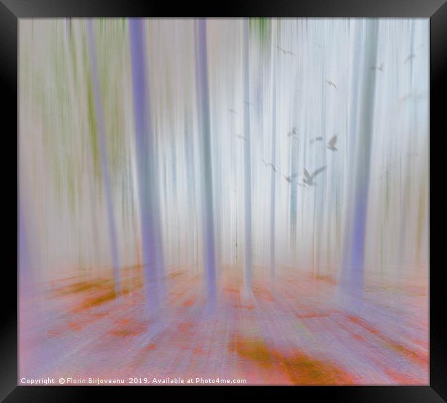 Moving Forest Light Framed Print by Florin Birjoveanu