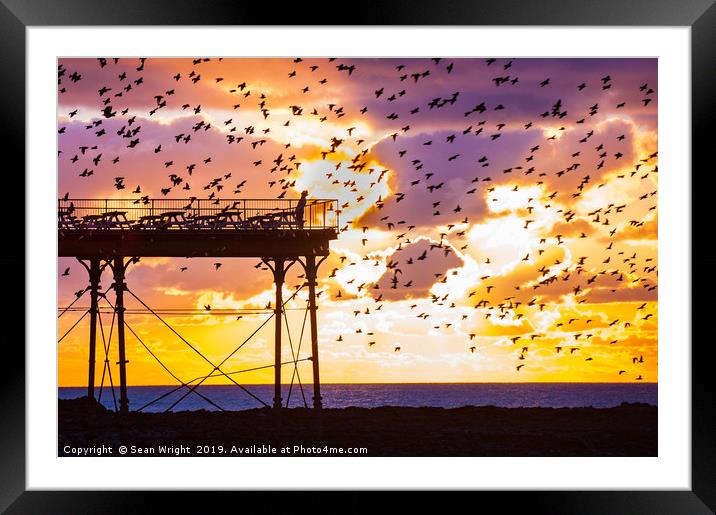 The Best View Framed Mounted Print by Sean Wright