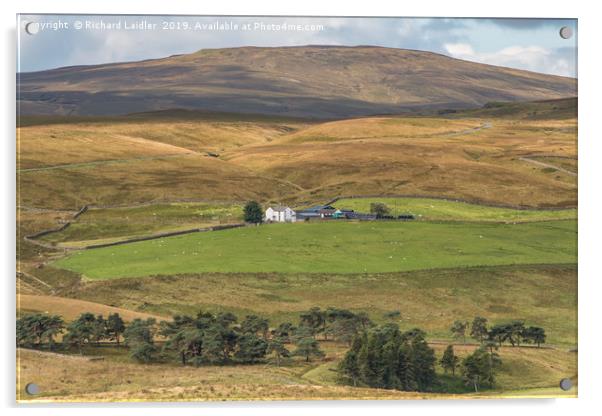 Peghorn Lodge farm & Meldon Hill, Upper Teesdale 1 Acrylic by Richard Laidler