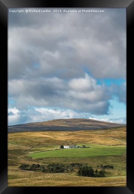 Peghorn Lodge farm and Meldon Hill, Upper Teesdale Framed Print by Richard Laidler
