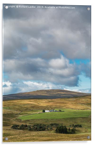 Peghorn Lodge farm and Meldon Hill, Upper Teesdale Acrylic by Richard Laidler