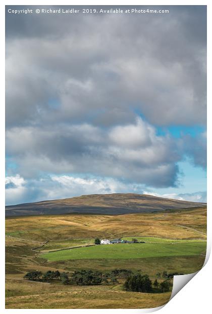 Peghorn Lodge farm and Meldon Hill, Upper Teesdale Print by Richard Laidler