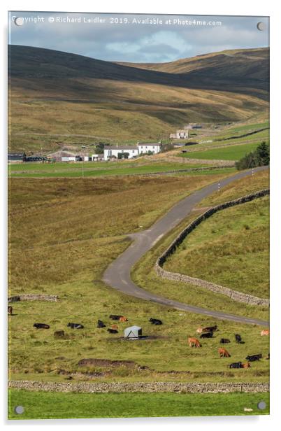 Harwood from Lingy Hill 2 Acrylic by Richard Laidler