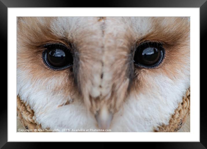 The eyes have it Framed Mounted Print by Alan Tunnicliffe
